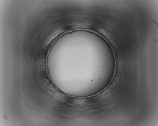 X0000099461211200805161039