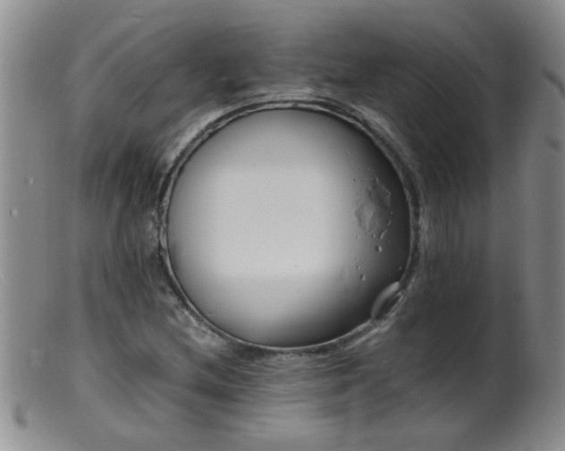 X0000099461212200805161039