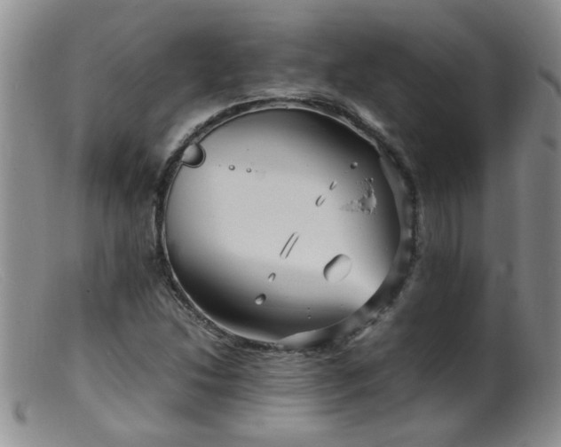 X0000099461214200805161039