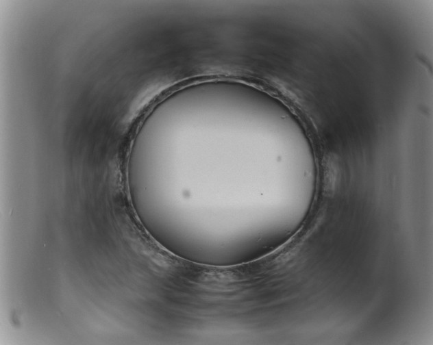 X0000099461215200805161039