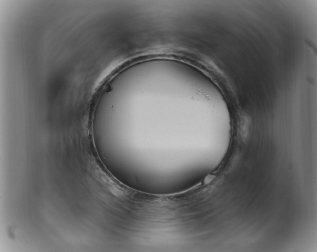 X0000099461216200805161039