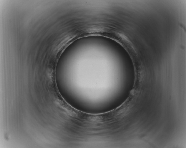 X0000099461217200805161039