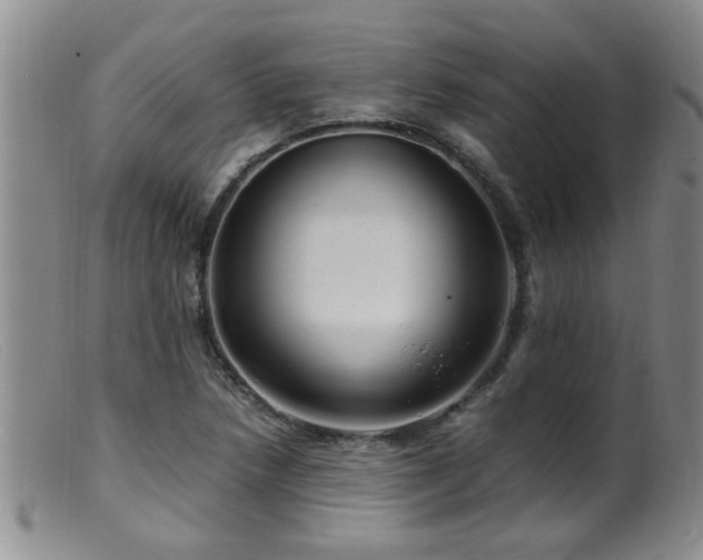 X0000099461218200805161039