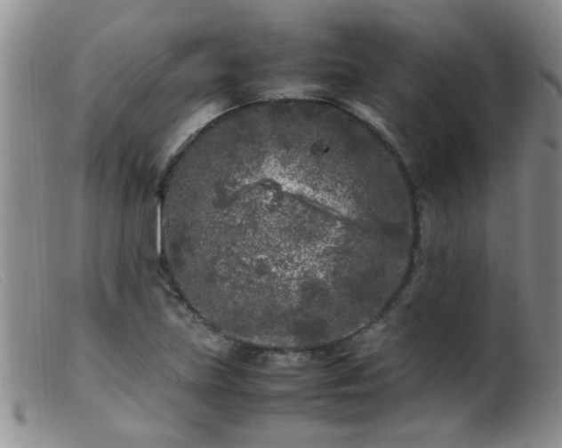 X0000099461219200805161039