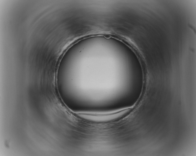 X0000099461220200805161039