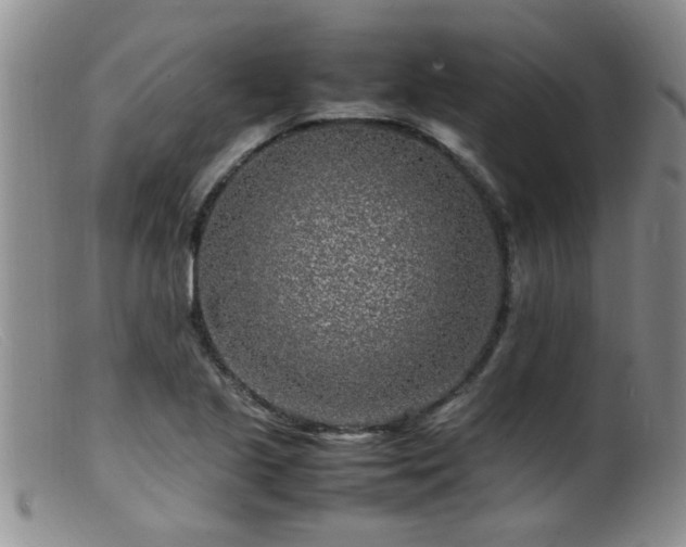 X0000099461221200805161039