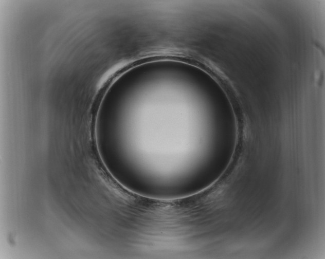 X0000099461222200805161039