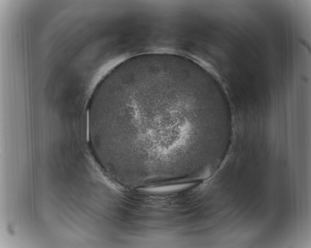 X0000099461223200805161039