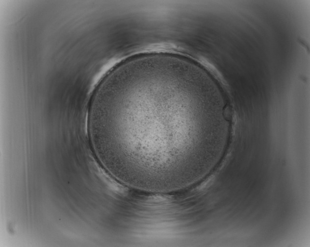 X0000099461224200805161039