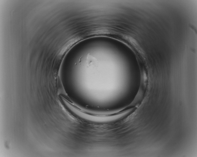 X0000099461225200805161039