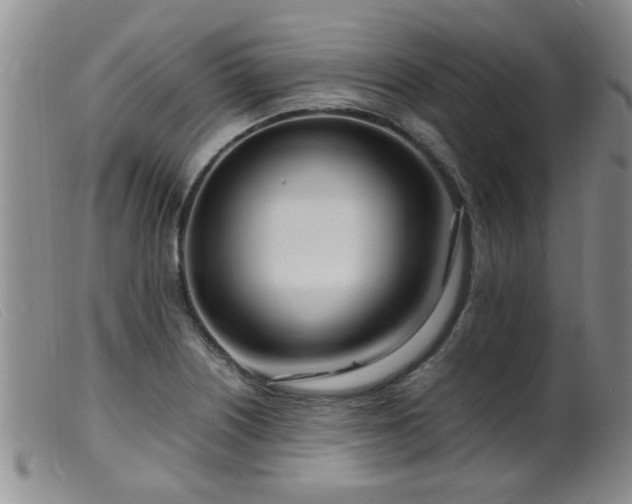 X0000099461226200805161039