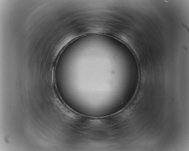 X0000099461227200805161039