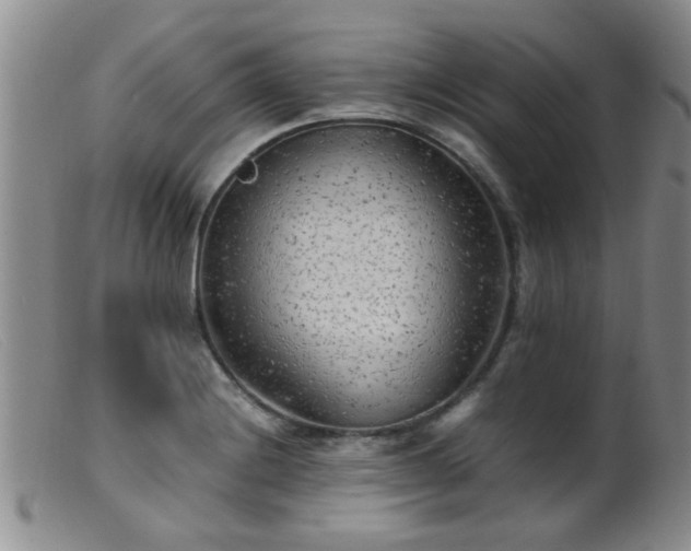 X0000099461228200805161039