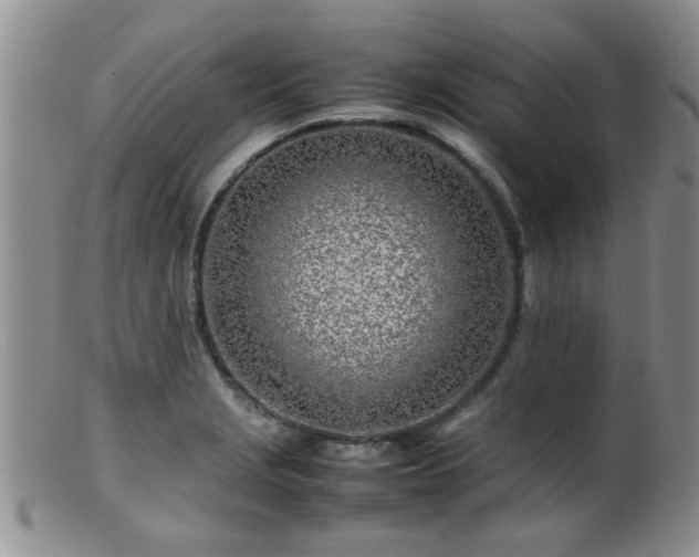 X0000099461229200805161039