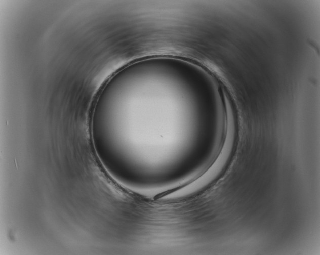 X0000099461230200805161039