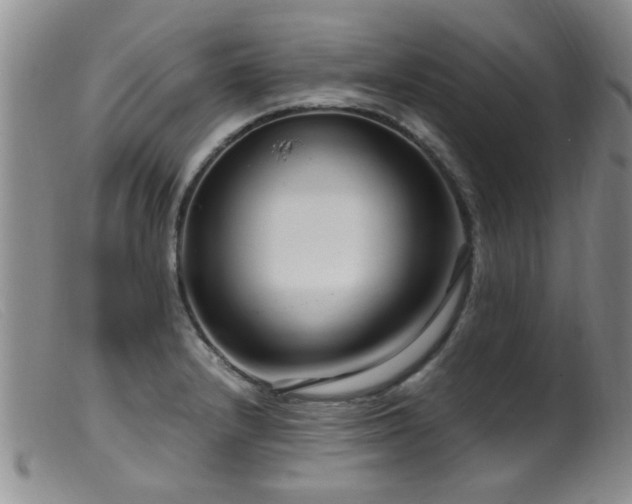 X0000099461232200805161039