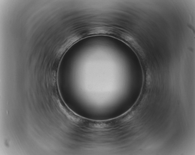 X0000099461233200805161039