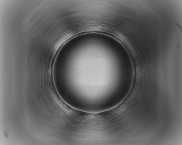 X0000099461234200805161039