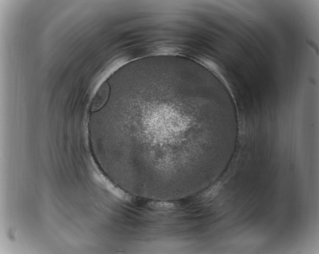 X0000099461235200805161039