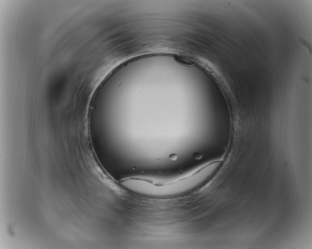 X0000099461236200805161039