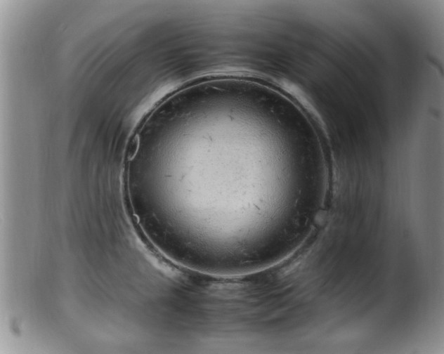 X0000099461237200805161039