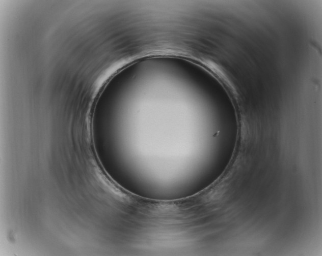 X0000099461238200805161039