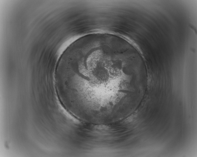 X0000099461239200805161039