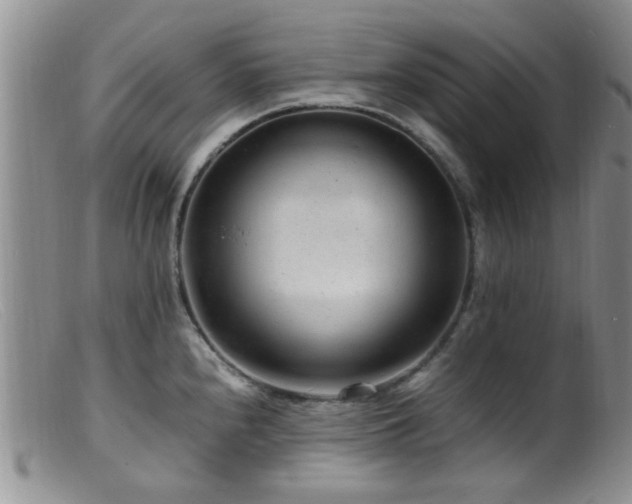 X0000099461240200805161039