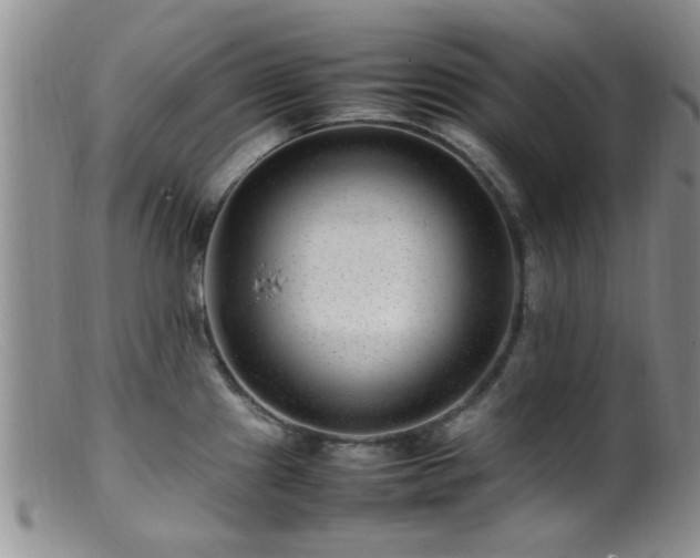 X0000099461241200805161039