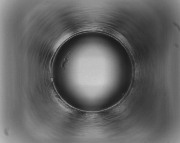 X0000099461242200805161039