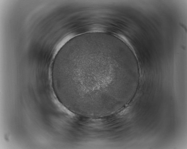 X0000099461243200805161039