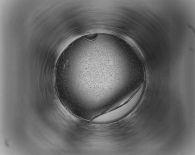 X0000099461244200805161039