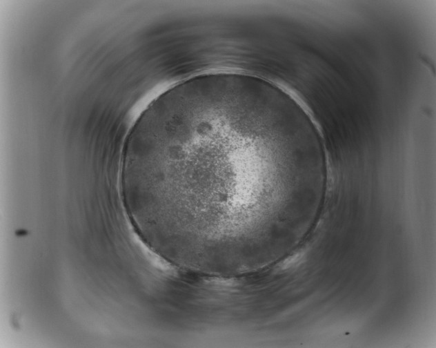 X0000099461245200805161039