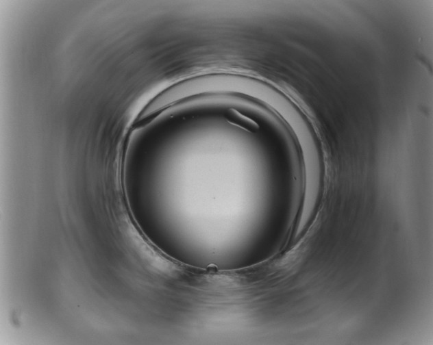 X0000099461246200805161039