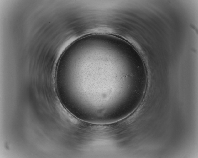 X0000099461248200805161039