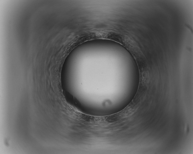 X0000099461249200805161038