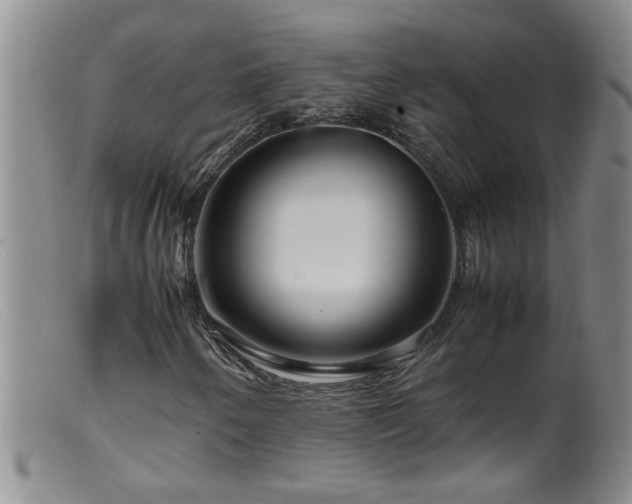 X0000099461250200805161038