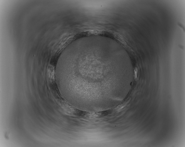 X0000099461251200805161038