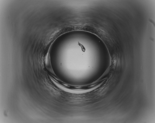 X0000099461252200805161038