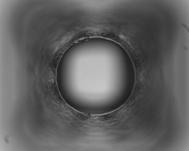 X0000099461253200805161038