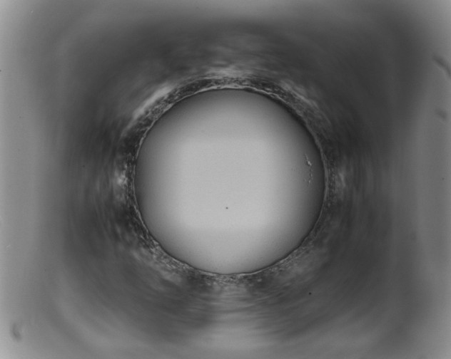 X0000099461254200805161038