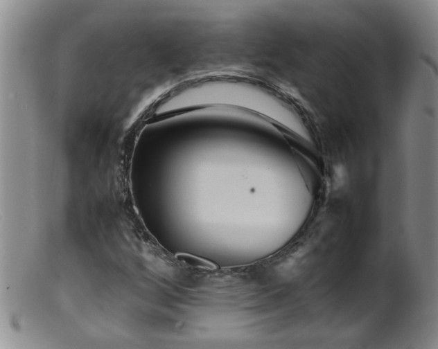 X0000099461256200805161038