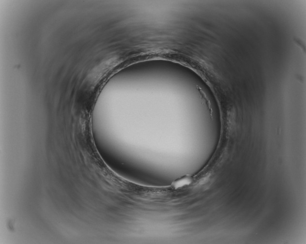 X0000099461257200805161038