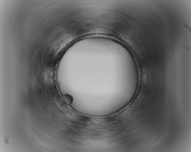 X0000099461258200805161038