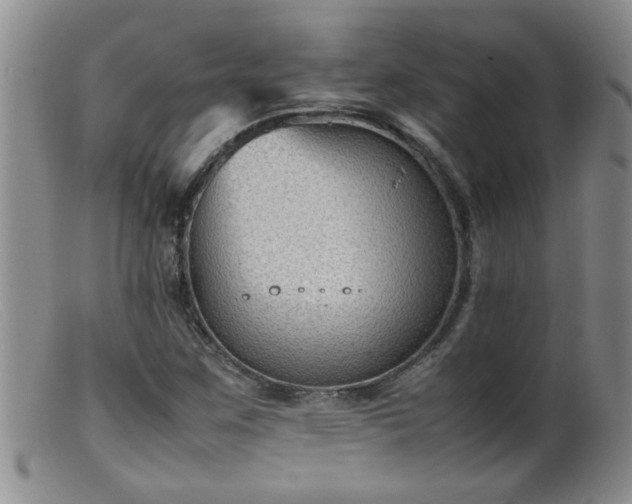 X0000099461259200805161038