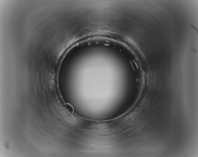 X0000099461260200805161038