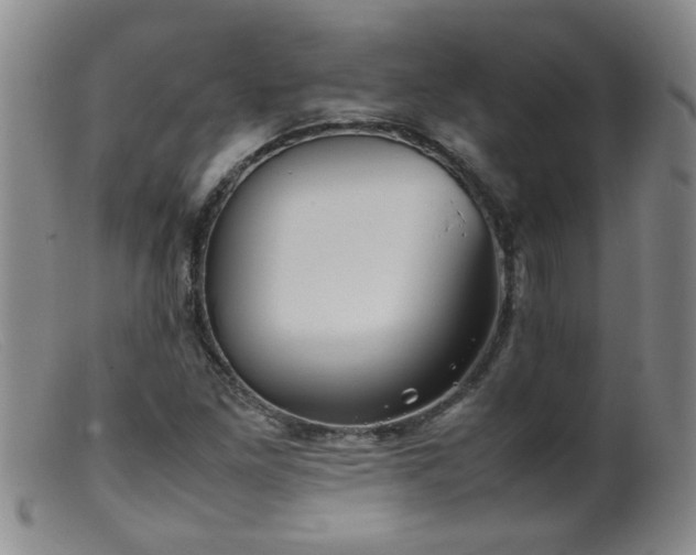 X0000099461261200805161038