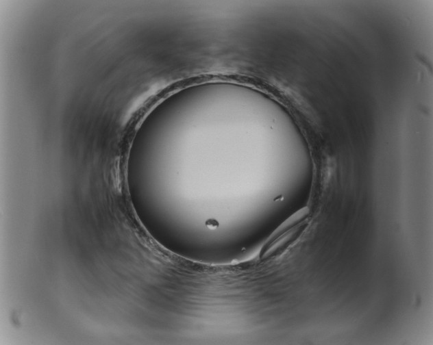 X0000099461262200805161038