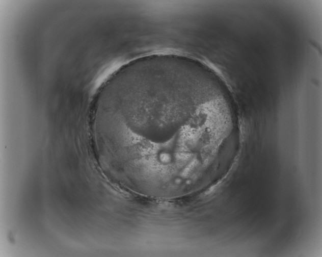 X0000099461263200805161038