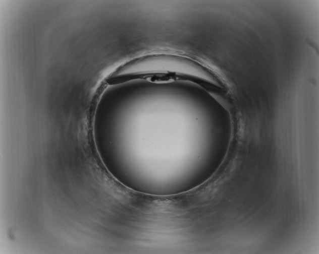 X0000099461264200805161038